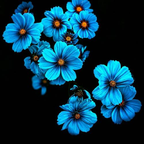  صدام کن که دوباره بشم عاشق عاشق بیا با یه اشاره